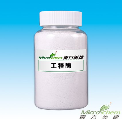 BSBY前处理工程酶定制|东方美捷专业制造