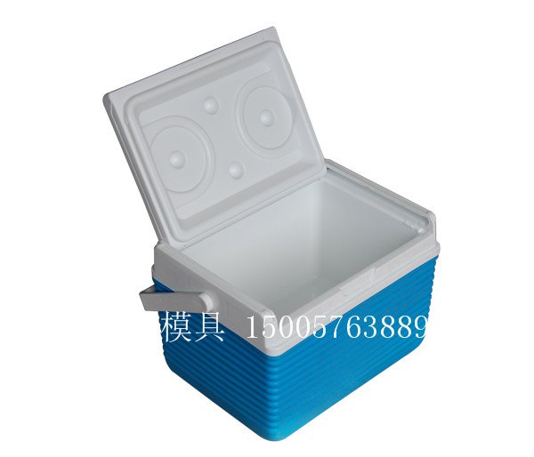 保温箱注塑模具塑料工具箱模具厂家
