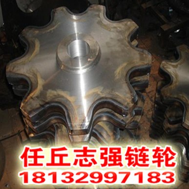 任丘供应双排链轮从动链轮链条和链轮