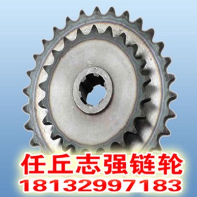 任丘供应双排链轮22齿链轮双齿链轮