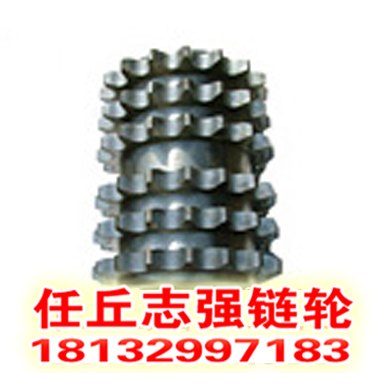 任丘供应双排链轮12齿链轮双链轮