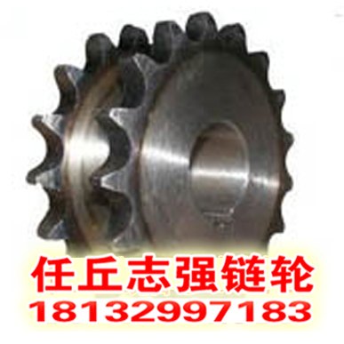 任丘供应双排链轮链轮齿形加工双排链轮价格