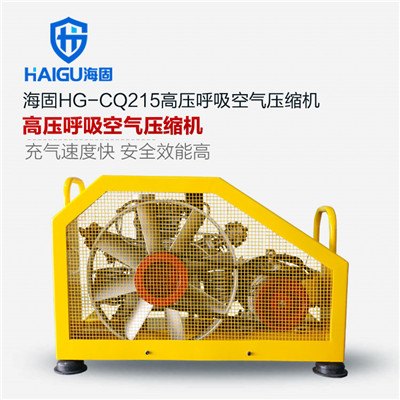呼吸空气充气泵强烈振动的原因借解决方法