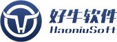 合肥软件开发外包公司有哪些