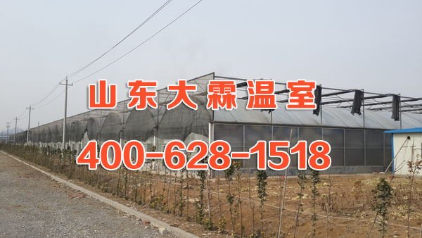 青州日光温室大棚建设厂家
