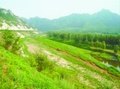 供应浙江杭州生态治理、宁波生态治理、温州生态治理、绍兴生态治理、