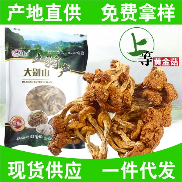 农家黄金菇榆黄蘑金顶侧耳金顶蘑玉皇蘑菇口感脆嫩干货特产批发