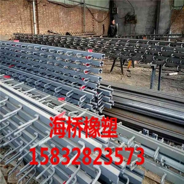 柳州十大厂家供应GQFC40F60E80桥梁伸缩缝品牌海桥橡塑性价比最高