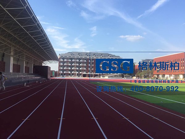 全塑型自结纹塑胶跑道领先环保技术