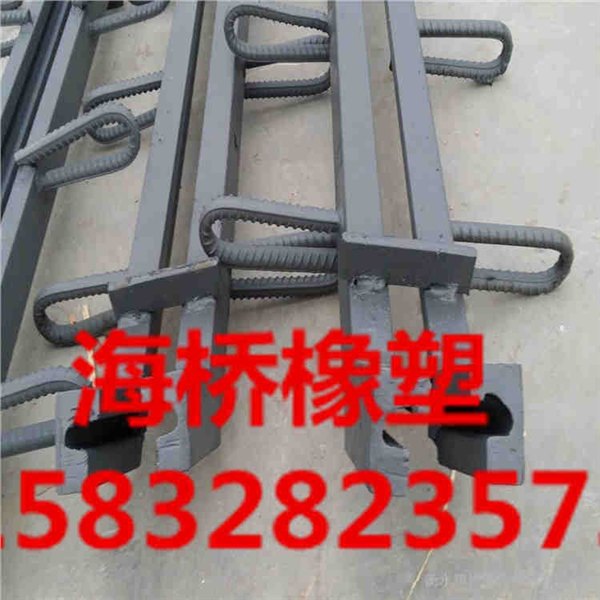 忻州衡水供应翘头桥梁伸缩缝专业生产厂家型号海桥橡塑最全