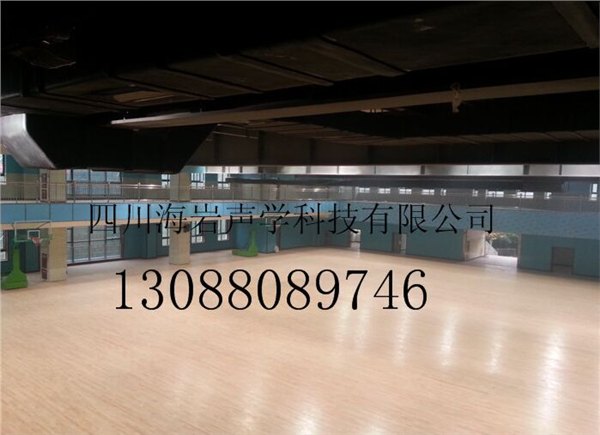 海岩声学成都宜宾运动场隔音消音，体育场隔音吸音声学设计