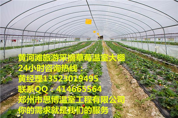 投资建造草莓大棚每亩需要多少钱