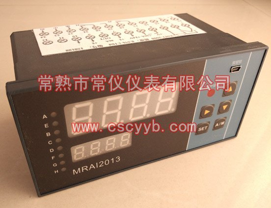 XMT-2000智能仪表