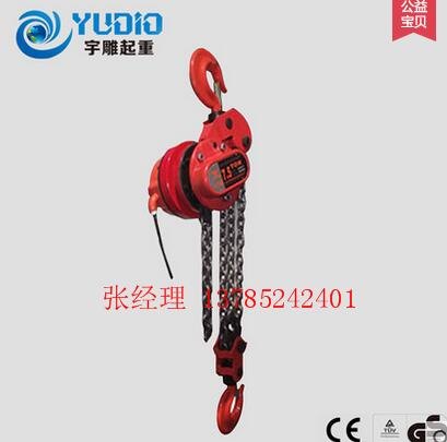 宇雕生产厂商生产的精品爬架电动葫芦|群吊环链电动葫芦