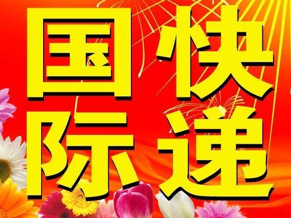 专业的国际快递公司 快递物流