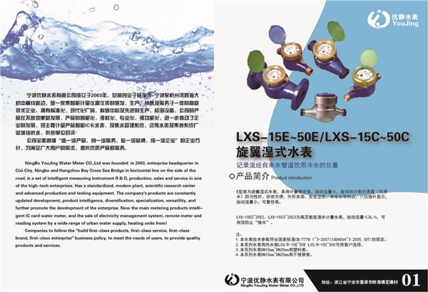 宁波水表系列立式水表