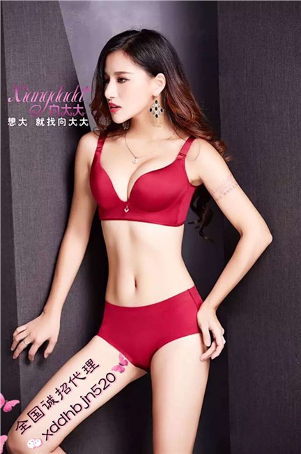 向大大内衣品牌介绍