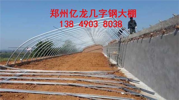 日光温室大棚临汾花卉养殖大棚建设价格