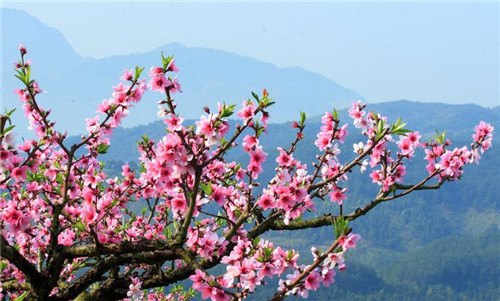 泉州农家乐度假去哪好 泉州农家乐度假品质好划算 康源供