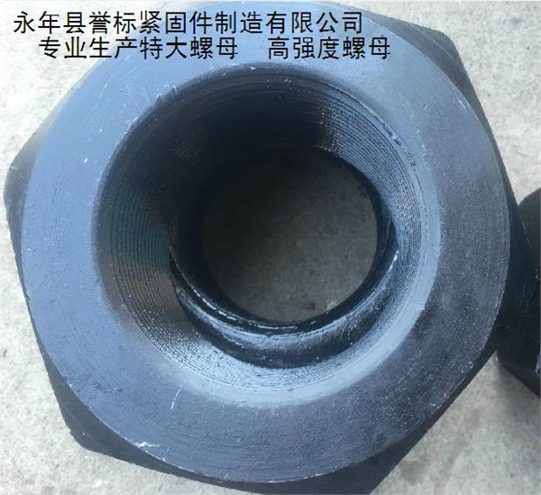 特大螺母厂家