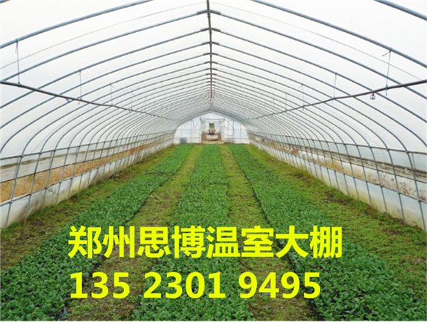 河南郑州蔬菜温室大棚建造及价格成本