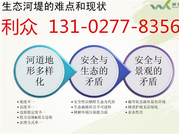 生态格网在水利护岸中的应用河道生态格网种植百喜草