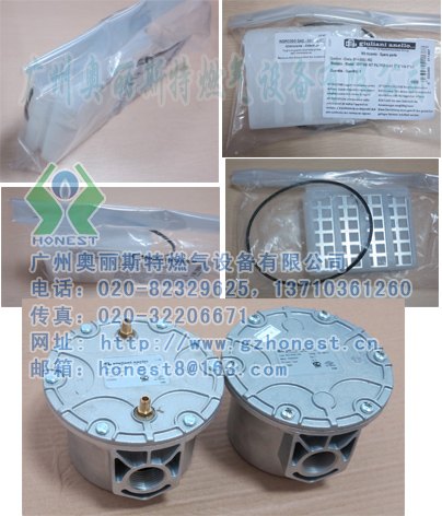奥丽斯特瓦斯过滤器