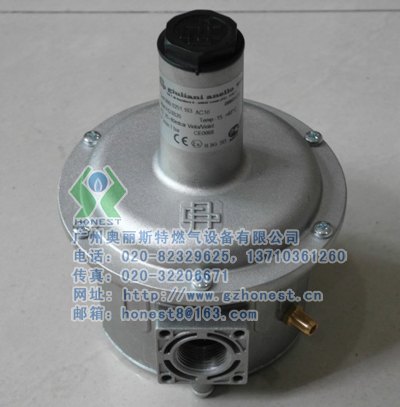 意大利giuliani anello调压器FGDR50 原FSDR50