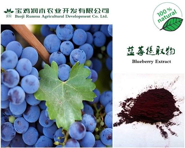蓝莓花青素10欧标，预防失明