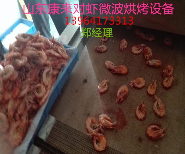 对虾微波烘烤设备
