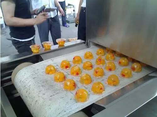 果冻微波杀菌设备
