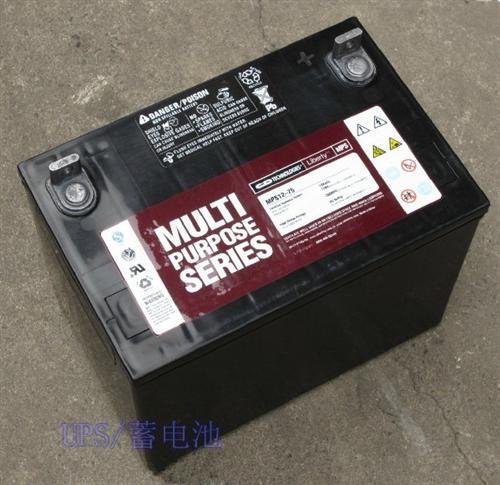 大力神蓄电池MPS12-76R