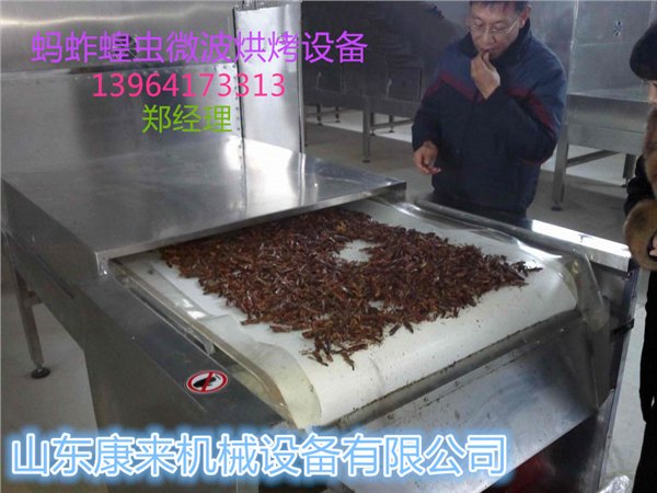 蚂蚱微波烘烤设备