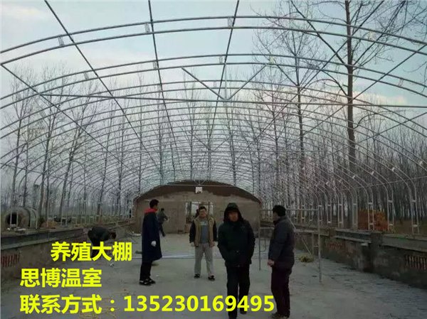 阳泉养殖大棚建造公司长治食用菌大棚造价
