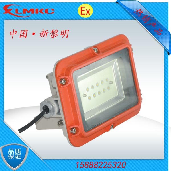 新黎明BZD188-01防爆LED泛光灯  LED防爆灯