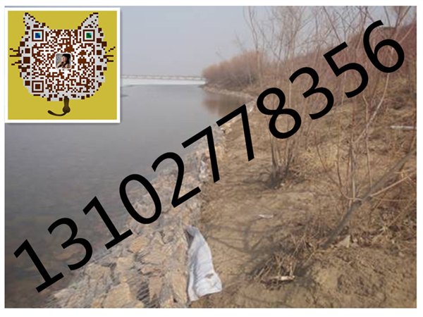 泥石流治理格宾石笼网固滨笼生态格网结构特性【利众】