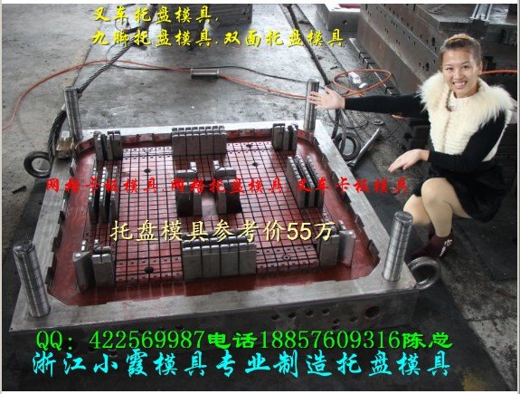 浙江注塑模具 1米4注射单面托盘模具 1米4注射叉车托盘模具制造