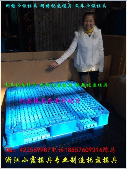 专业生产大型模具制造 一米四塑料叉车栈板模具Plastic mold