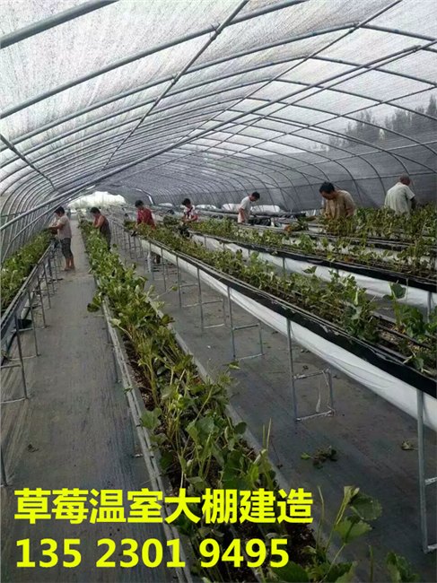 长治花卉大棚建造晋中建一个日光温室大棚多少钱