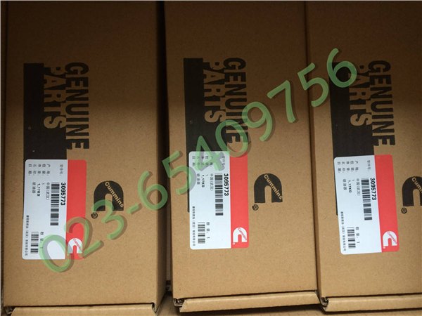 3095773康明斯原装喷油器总成 K19柴油发电机组用原厂品质喷油器