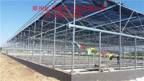 三门峡标准连动温室设计方案河南郑州温室资材销售厂家