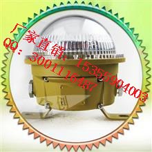 供应TCD920 5W船用冷库吸顶灯 防爆泛光平台节能高效灯 LED防爆套件