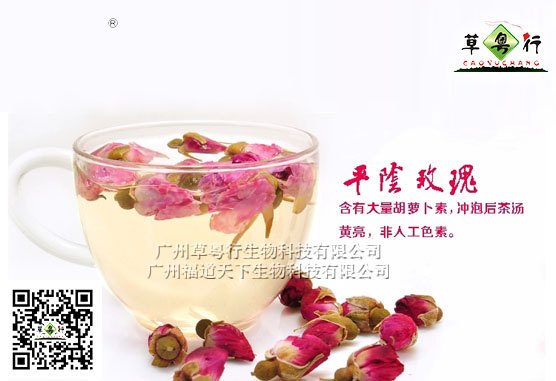 代用茶加工厂专业提供平阴玫瑰花代用茶加工服务