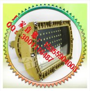 TCD700 60w冷库修井防腐防水灯LED防爆灯