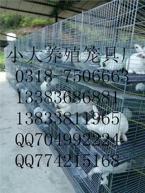 9笼位兔笼 12笼位种兔笼 12笼位子母兔笼 12笼位兔笼