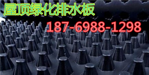 地下室排水板价格