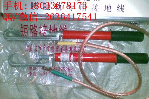 50平方接地线 携带型软铜线 JDX-WT系列接地软铜线