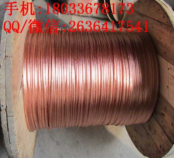 平口式软铜接地线 JDX-S-35KV接地软铜线