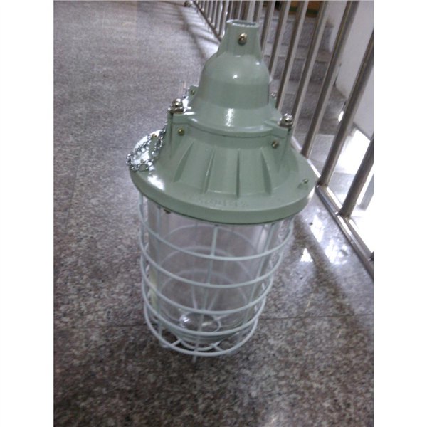 CCD-93防爆照明灯  丰富的品牌线