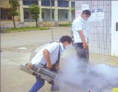白蚁防治服务,武汉坤龙防治白蚁公司